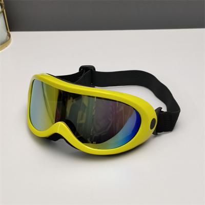 Oakley Ski Goggles 001